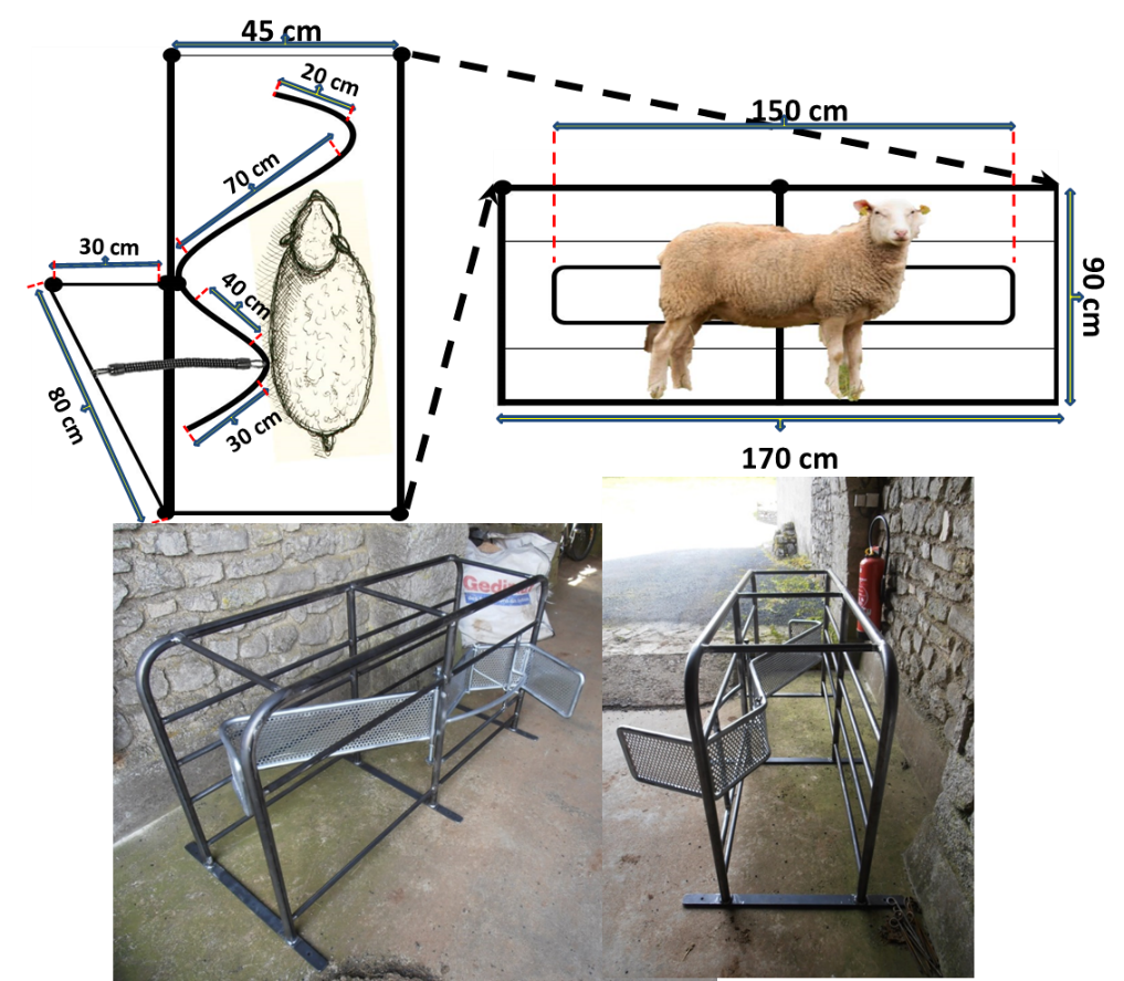 customized sheep device